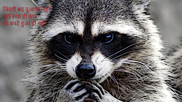 Life isn’t a&nbsp;curse