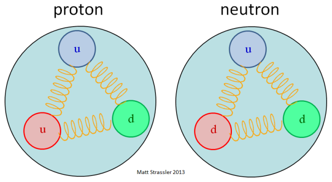 Protons and Neutrons as Baryons, that is an eternal bond of 3 quarks. uud and udd. Note that teh spring is the gluon. Much like a spring transmits a mechanical force these gluons have an assigned duty to transfer the strong nuclear forces from one participant to the other. Pic Credit; Matt Strassler's blog, profmattstrassler.com