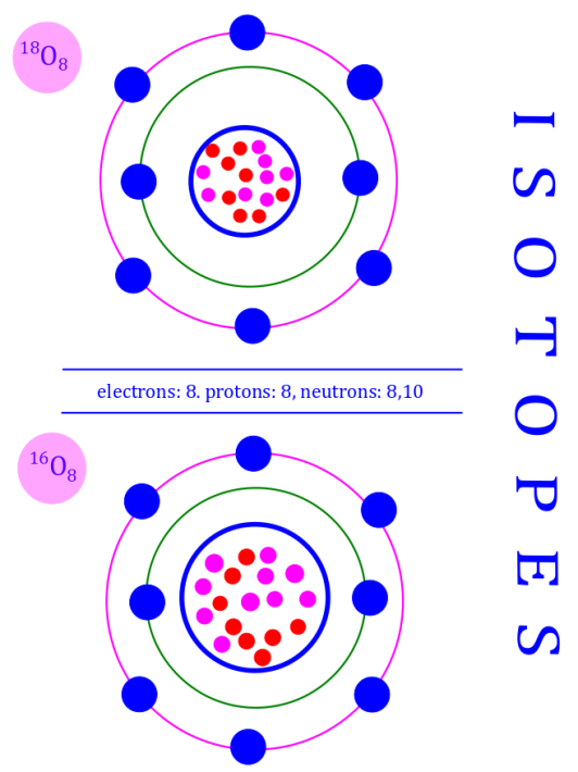 Two stable isotopes of oxygen: this image explains what are isotopes. It describes isotopes by example of oxygen, whose two stable isotopes have different neutron numbers. Photo Credit: mdashf.org
