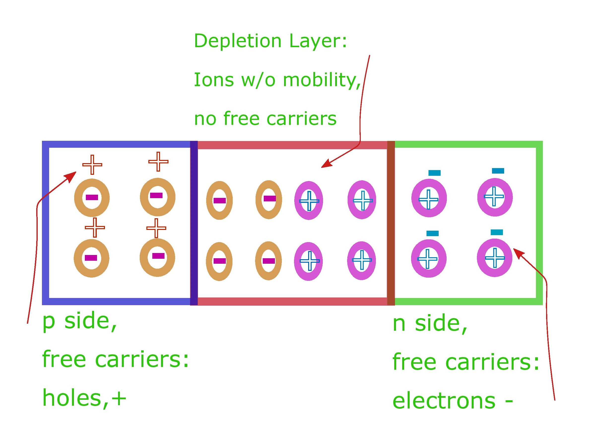 Formation of depletion layer 